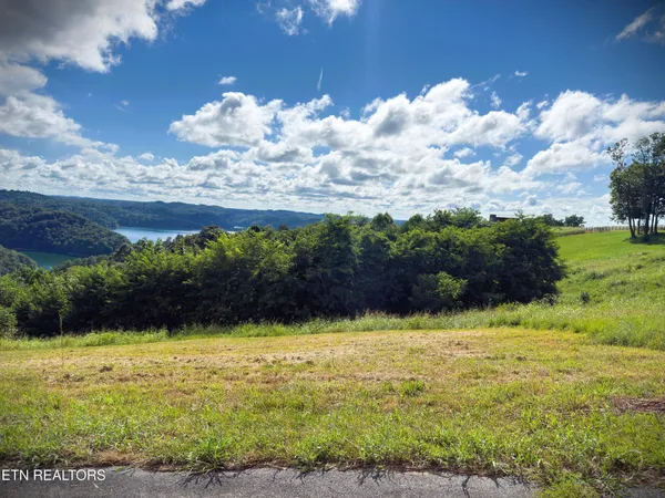 a view of an outdoor space and a yard