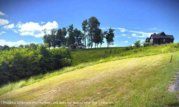 a view of a yard with swimming pool