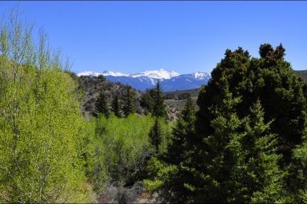 300 Horse Mountain Ranch Road Wolcott, CO 81655 - Photo 18 of 19 a view of a city with lush green forest