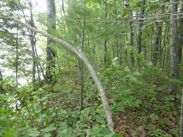 On Thorofare Road, Unit LOT 11 Minocqua, WI 54548 - Photo 13 of 19 Gallery Image 13