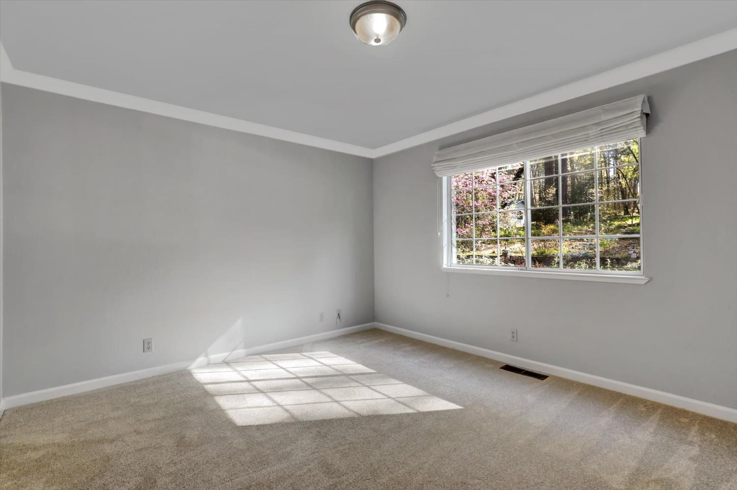 362 Gracie Road Nevada City, CA 95959 - Photo 26 of 96