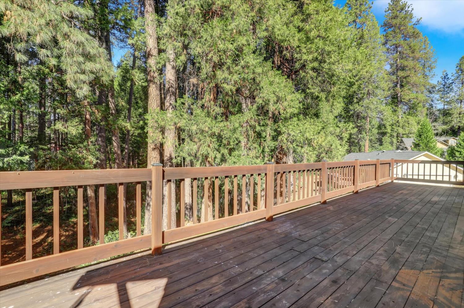 362 Gracie Road Nevada City, CA 95959 - Photo 40 of 96