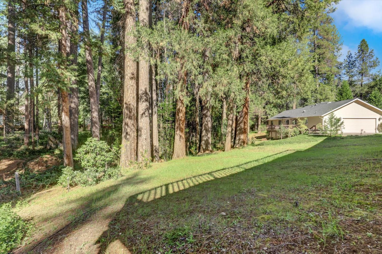 362 Gracie Road Nevada City, CA 95959 - Photo 47 of 96