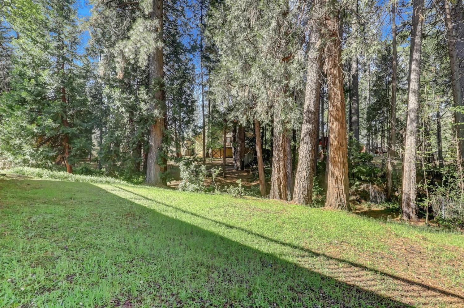 362 Gracie Road Nevada City, CA 95959 - Photo 52 of 96