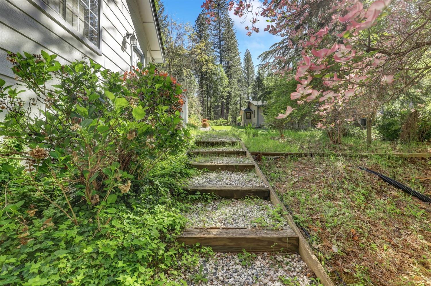362 Gracie Road Nevada City, CA 95959 - Photo 59 of 96