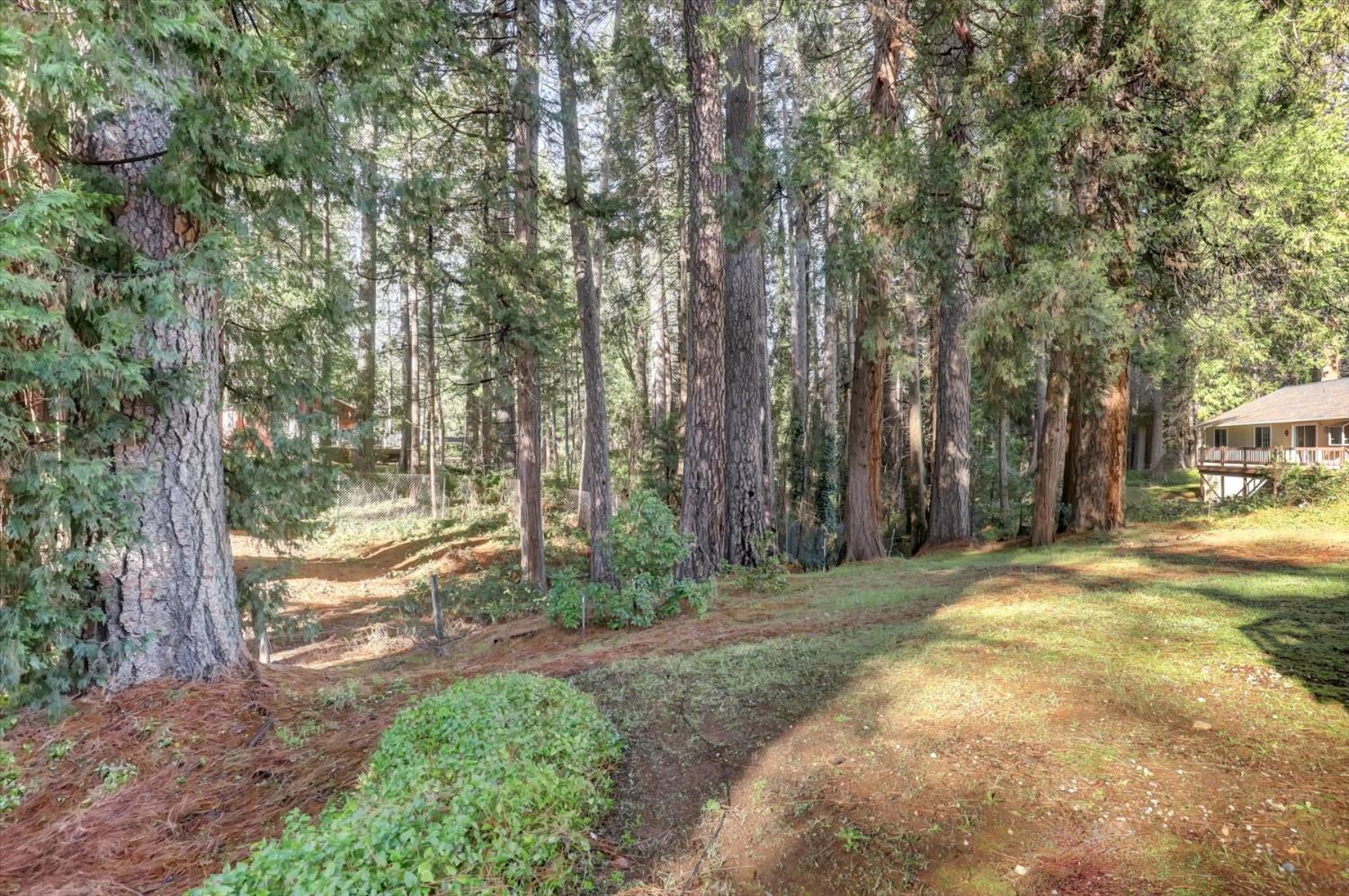 362 Gracie Road Nevada City, CA 95959 - Photo 62 of 96