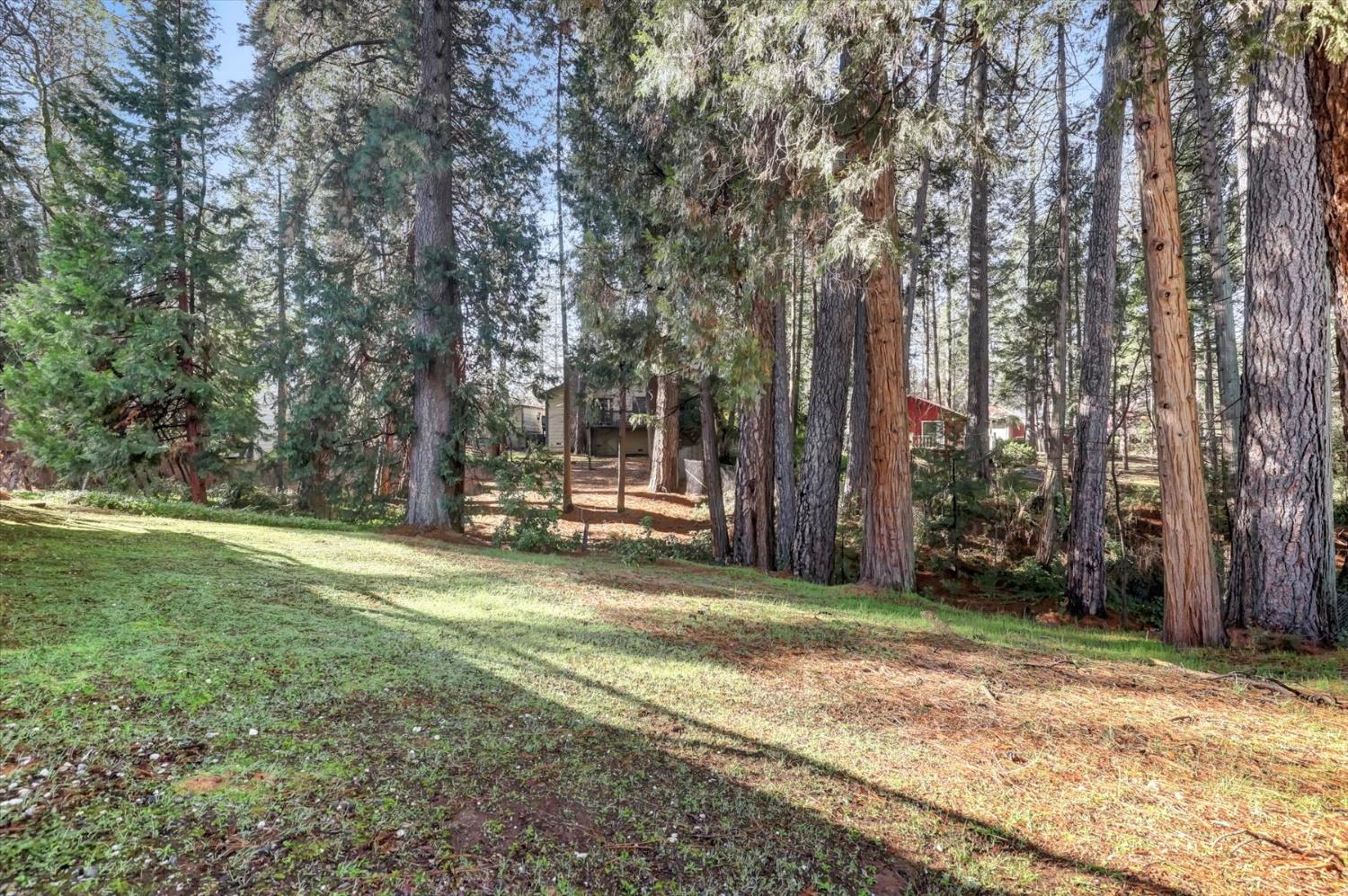 362 Gracie Road Nevada City, CA 95959 - Photo 65 of 96