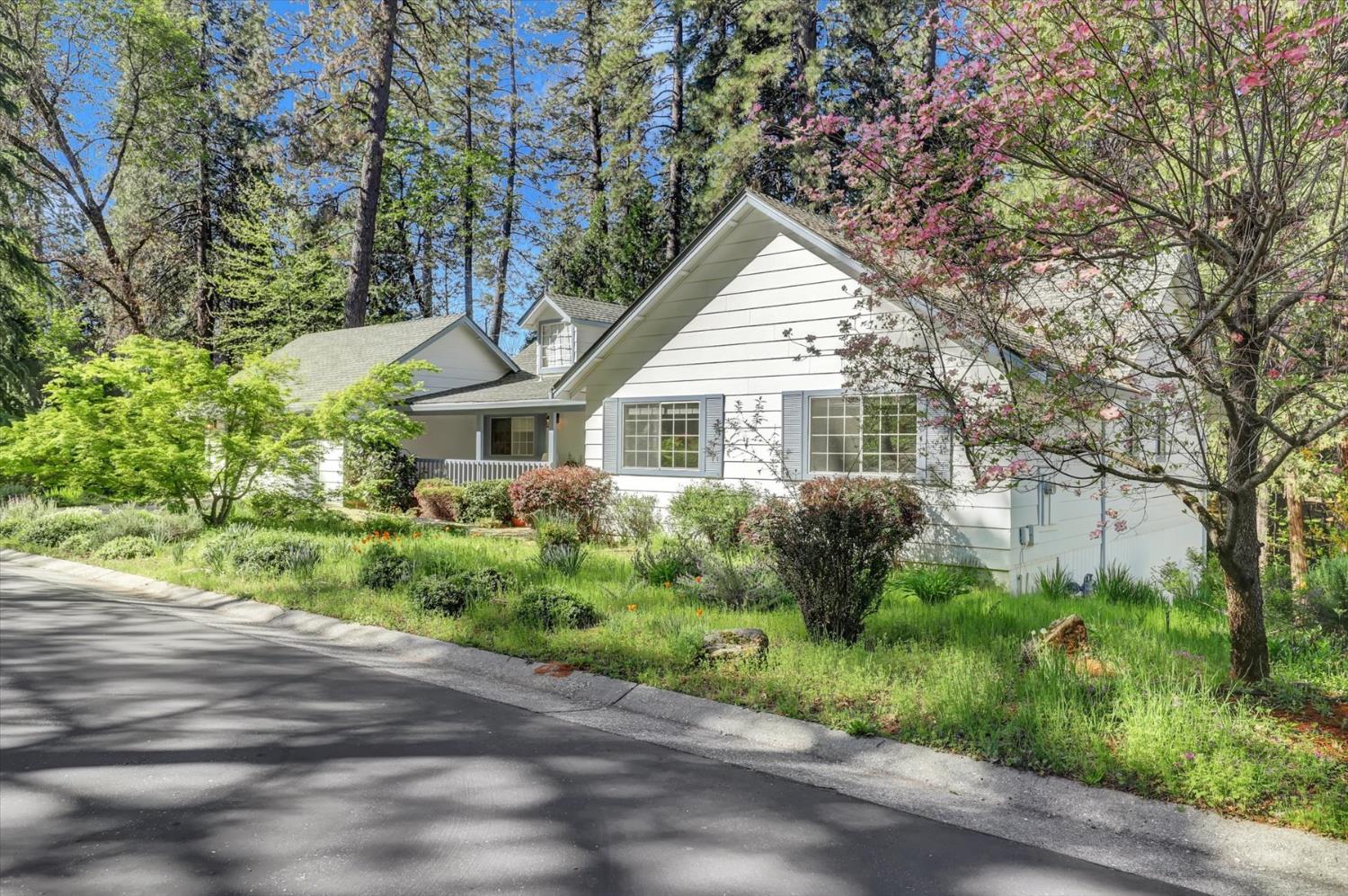 362 Gracie Road Nevada City, CA 95959 - Photo 67 of 96