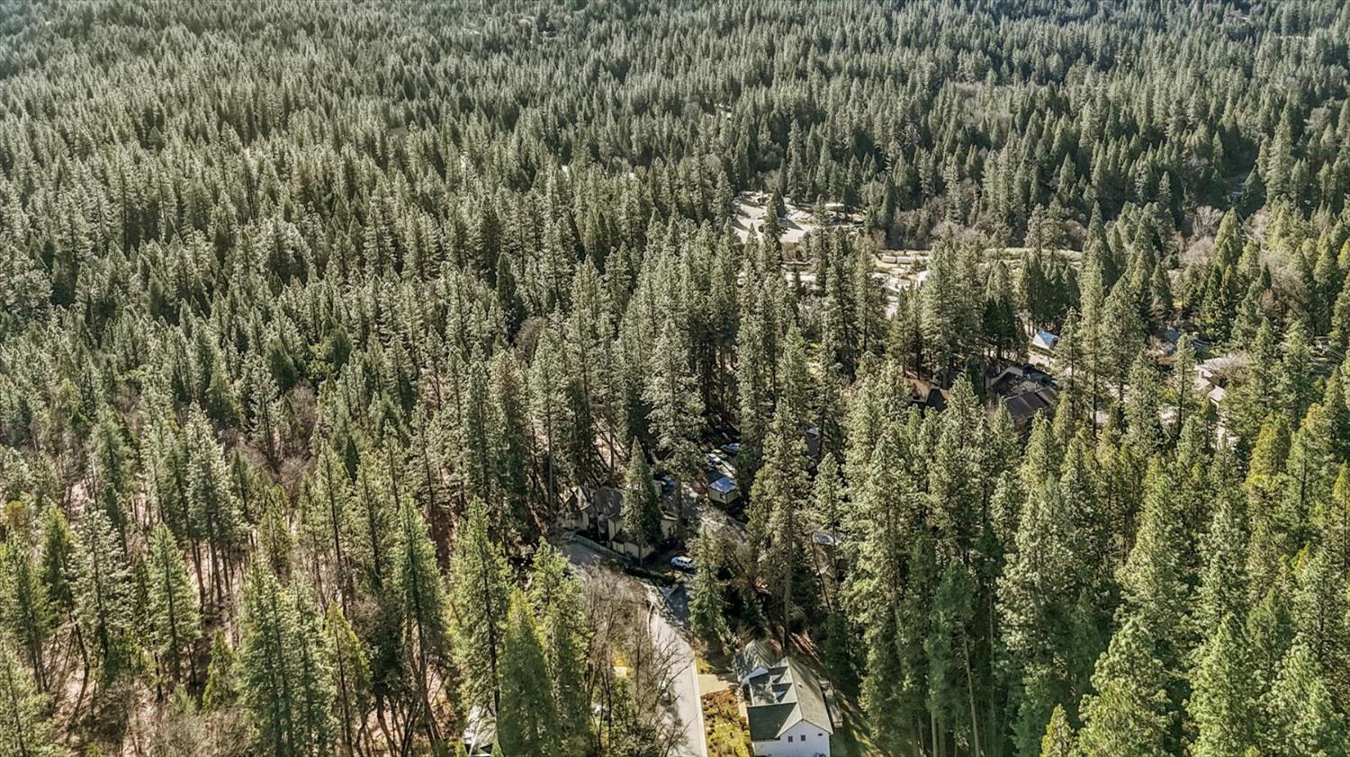 362 Gracie Road Nevada City, CA 95959 - Photo 77 of 96