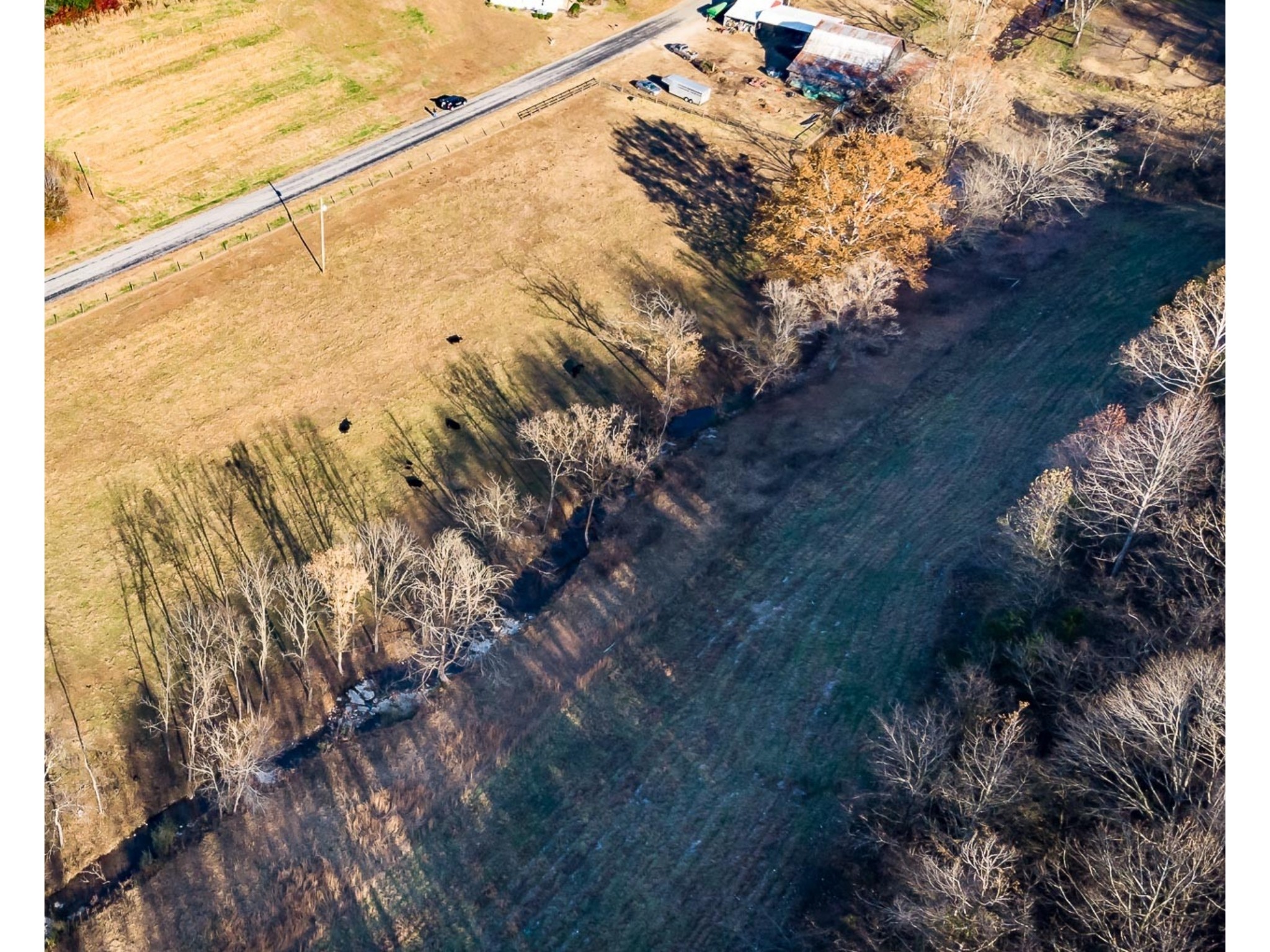 0 Wray Branch Road Minor Hill, TN 38473 - Photo 2 of 4 Gallery Image 2