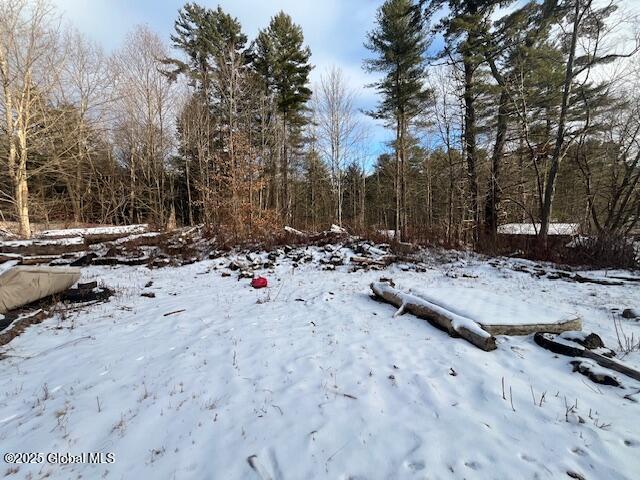 14 Walter Maxfield Road Hadley, NY 12835 - Photo 5 of 18 IMG_3319