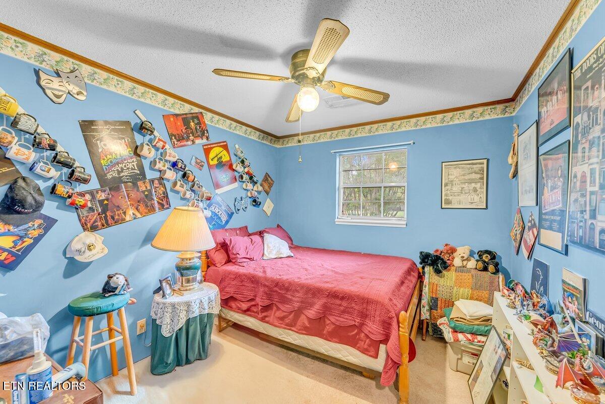 225 Spring Street Spring City, TN 37381 - Photo 30 of 35 225 21