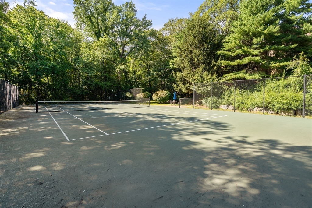 202 Allandale Road, Unit B Boston, MA 02467 - Photo 37 of 39 a view of basketball court