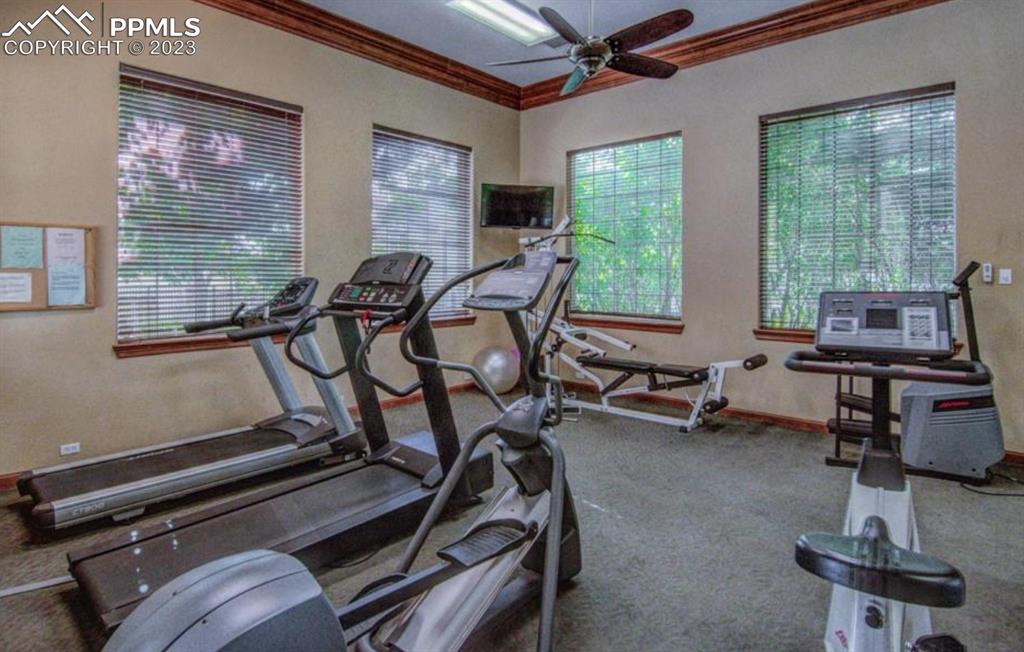 3764 Riviera Grove, Unit 203 Colorado Springs, CO 80922 - Photo 31 of 31 a room with gym equipment and a large window