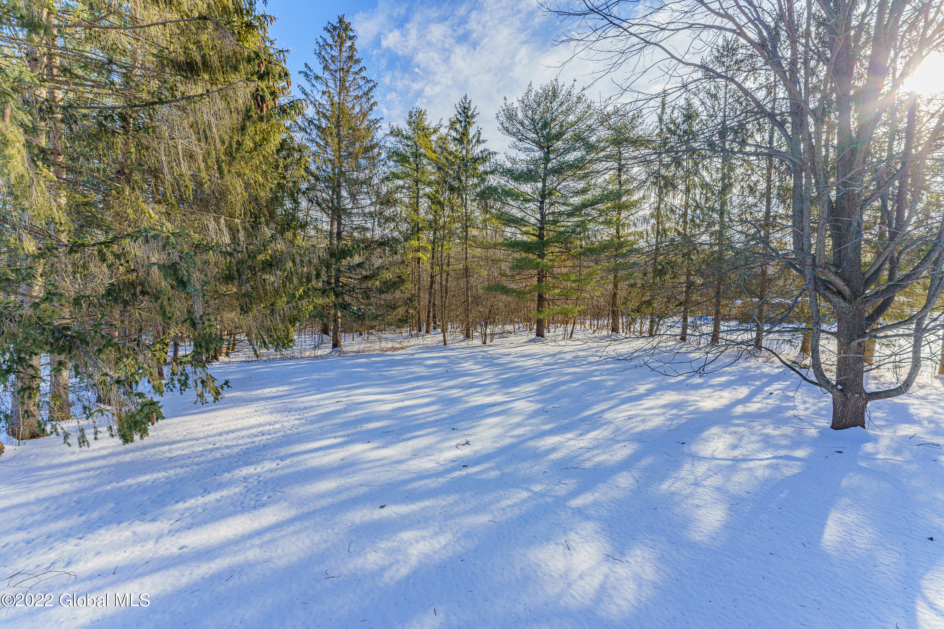 247 Bullock Road New Scotland, NY 12159 - Photo 30 of 30 Yard 4