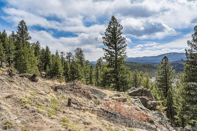 $295,000 | 25925 Lost Cabin Trail, Evergreen, CO 80439
