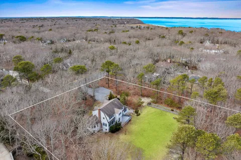 a view of a room with a forest