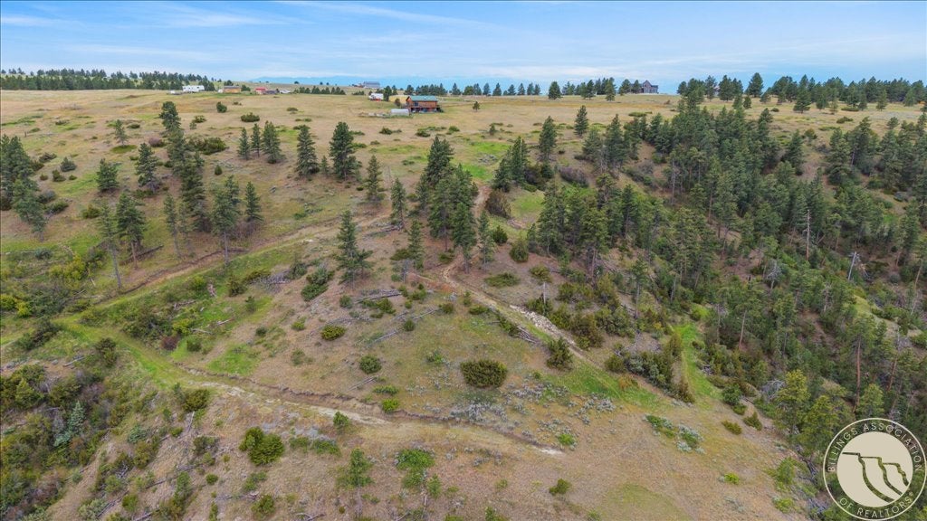 411 Shane Ridge Road Columbus, MT 59019 - Photo 44 of 50 Gallery Image 44