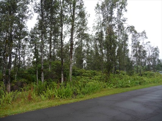 115 Ginger Road Pahoa, HI 96778 - Photo 4 of 4 Gallery Image 4