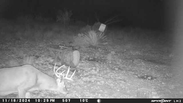 Tbd Deer Run Road Ozona, TX 76943 - Photo 15 of 17 Photo 15