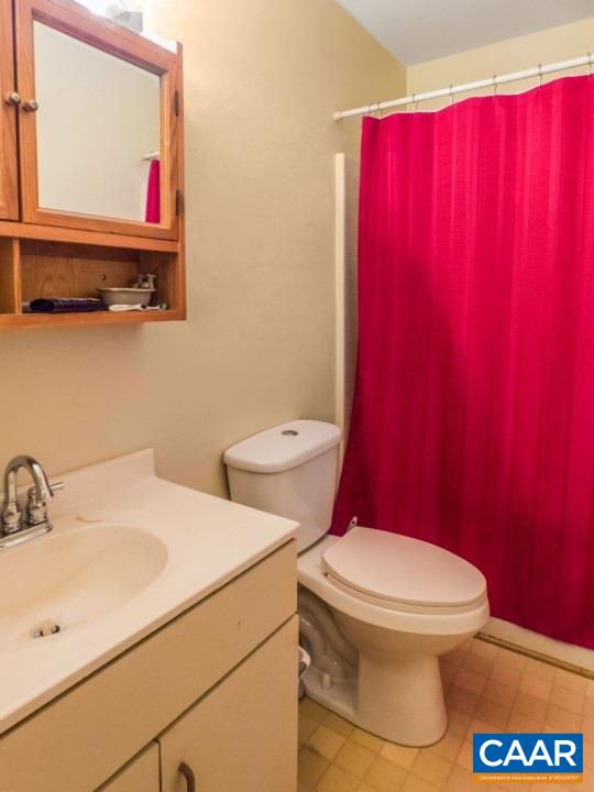 502 Bybees Church Road Palmyra, VA 22963 - Photo 12 of 15 a bathroom with a toilet a sink and a shower