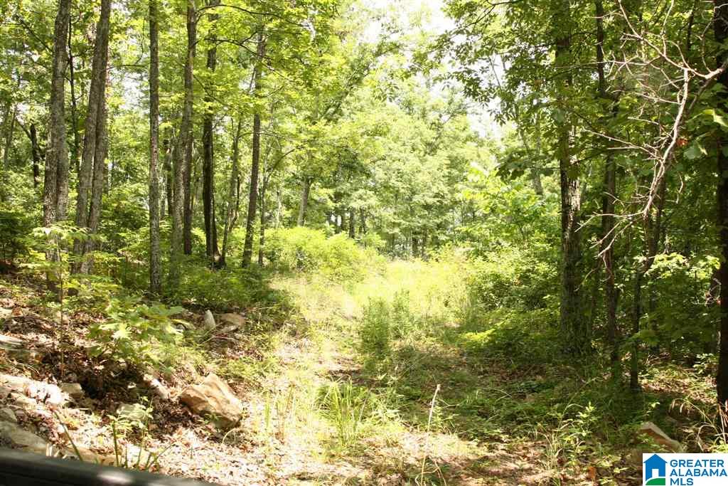 0 Shoal Creek Road, Unit 121 AC Ashville, AL 35953 - Photo 8 of 8