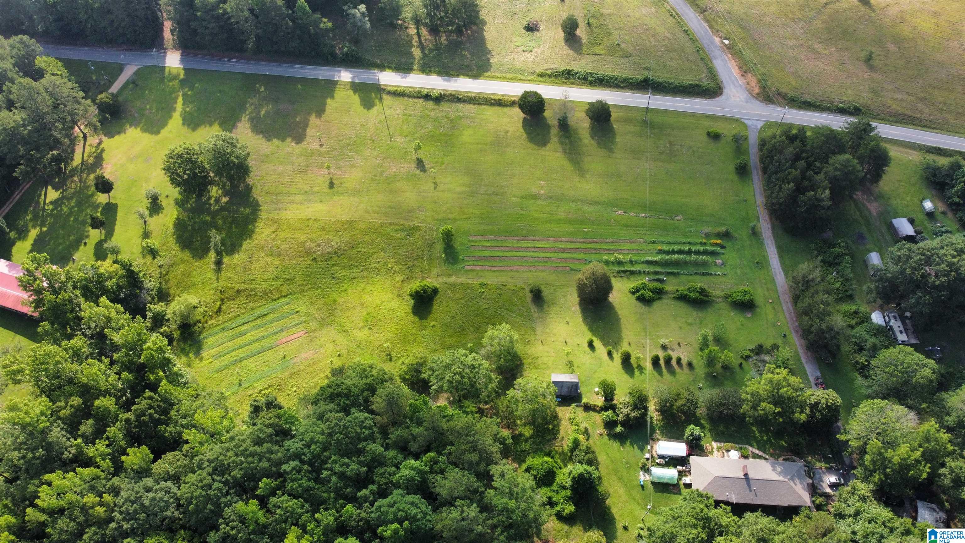 1505 Camp Creek Road Cropwell, AL 35054 - Photo 43 of 48