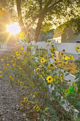 a view of houses with yard