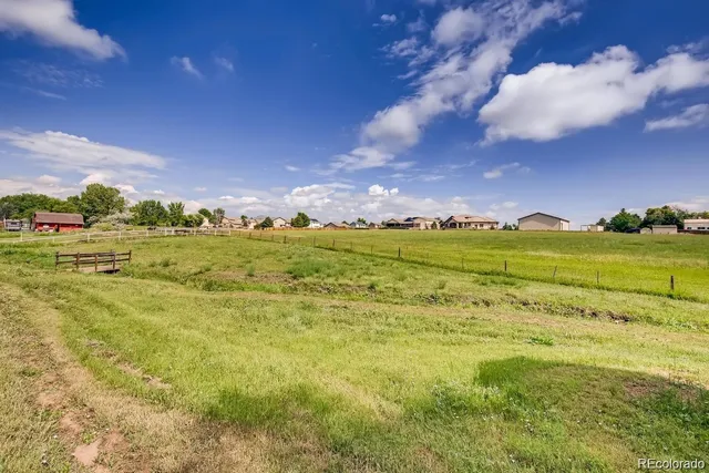 a view of a big yard with lots of green space