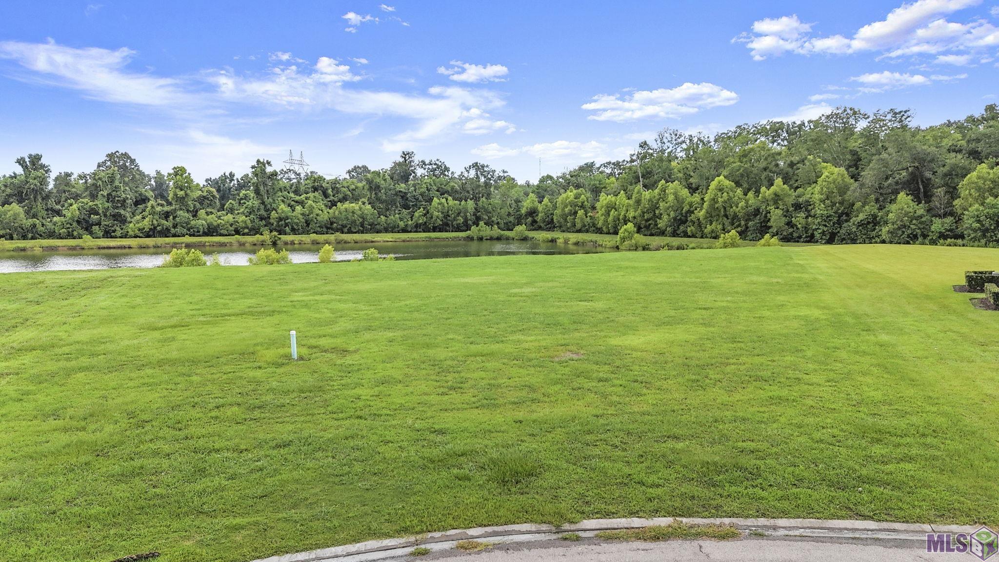 36123 Westin Ridge Drive Geismar, LA 70734 - Photo 7 of 10