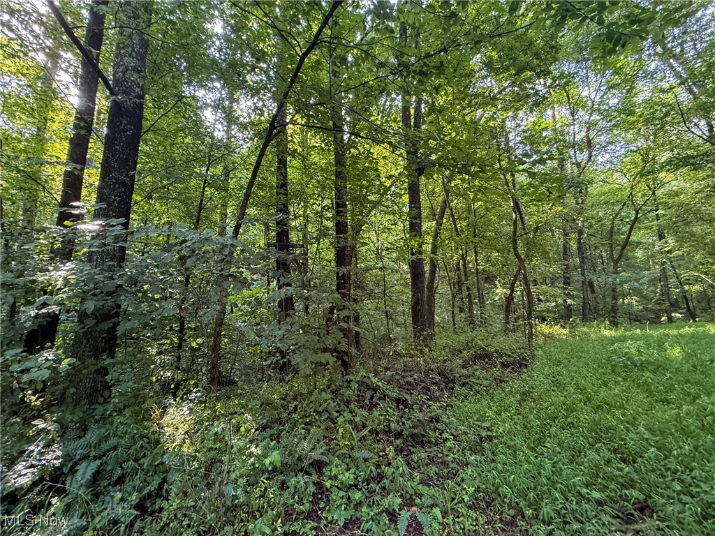 273 Twp Road Shawnee, OH 43782 - Photo 10 of 27 View of woods