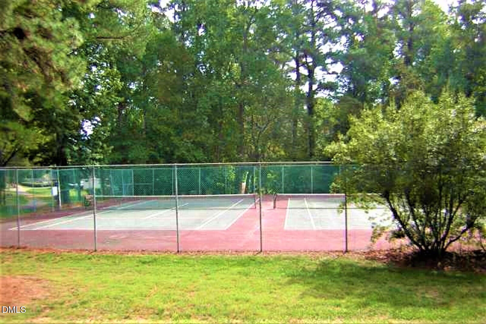 514 Pine Ridge Place Raleigh, NC 27609 - Photo 38 of 38 a view of a park with a large tree