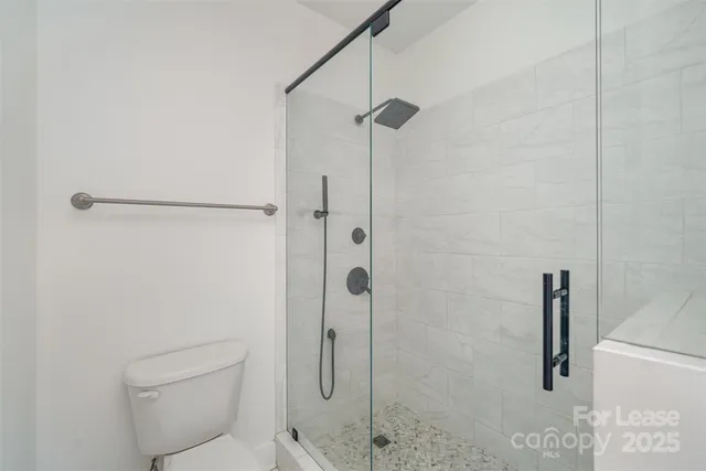 a bathroom with a shower and toilet