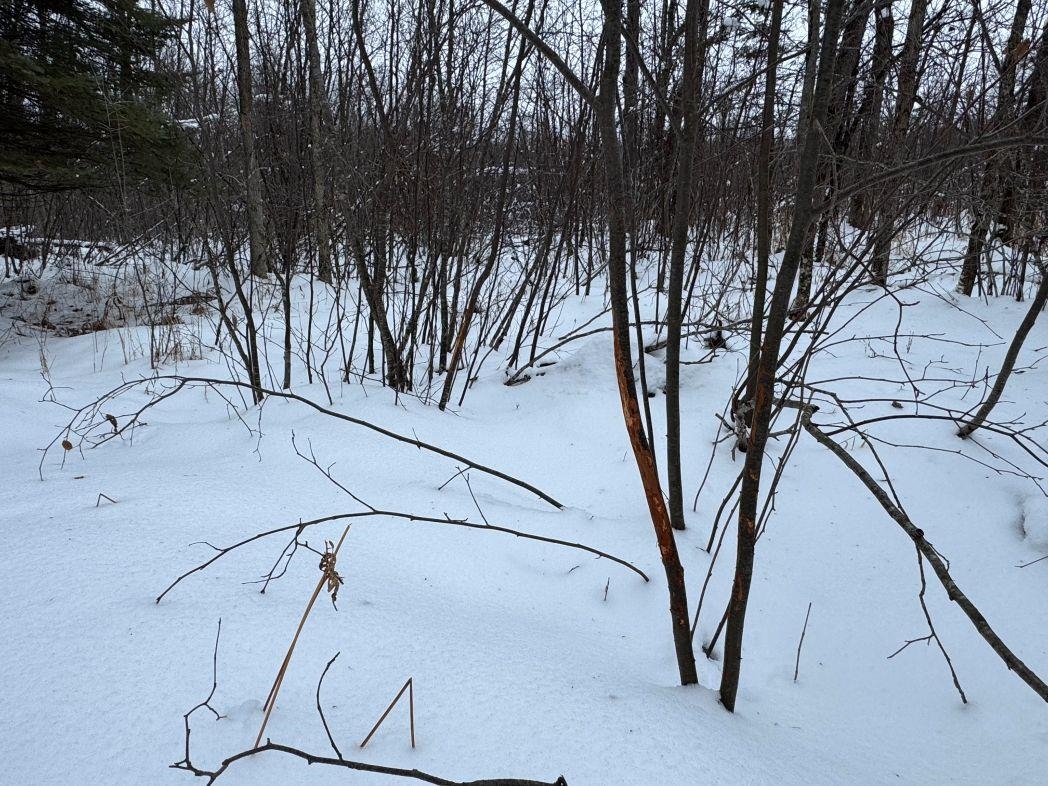Eland Road, Unit 1 Wittenberg, WI 54499 - Photo 13 of 31
