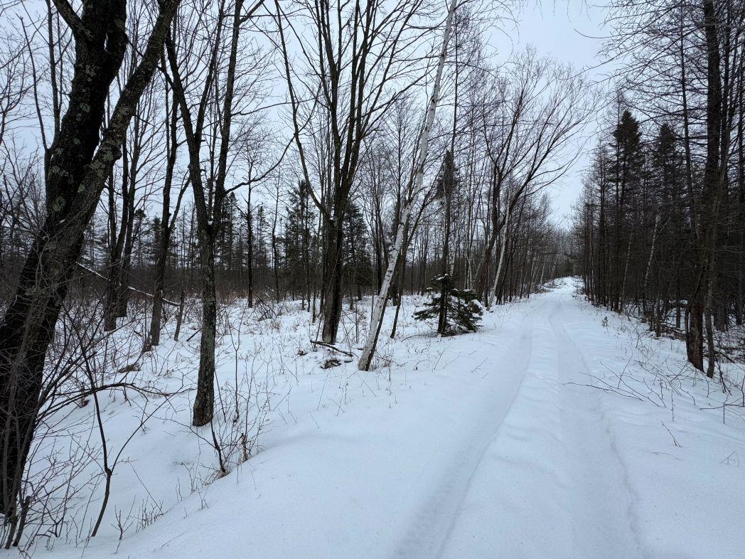 Eland Road, Unit 1 Wittenberg, WI 54499 - Photo 14 of 31