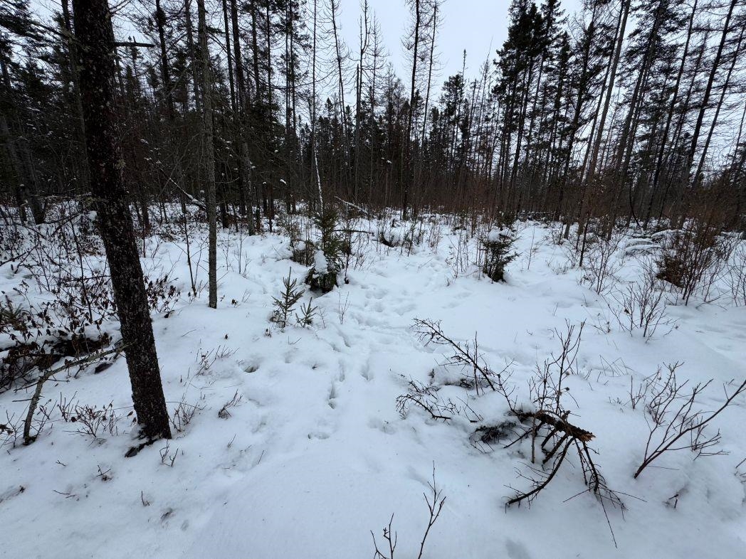 Eland Road, Unit 1 Wittenberg, WI 54499 - Photo 16 of 31