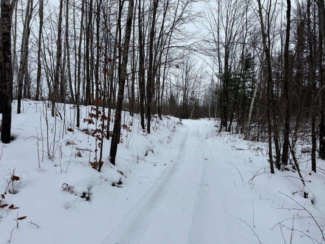 Eland Road, Unit 1 Wittenberg, WI 54499 - Photo 20 of 31