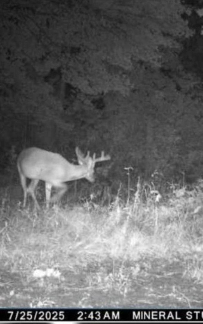 Eland Road, Unit 1 Wittenberg, WI 54499 - Photo 2 of 31