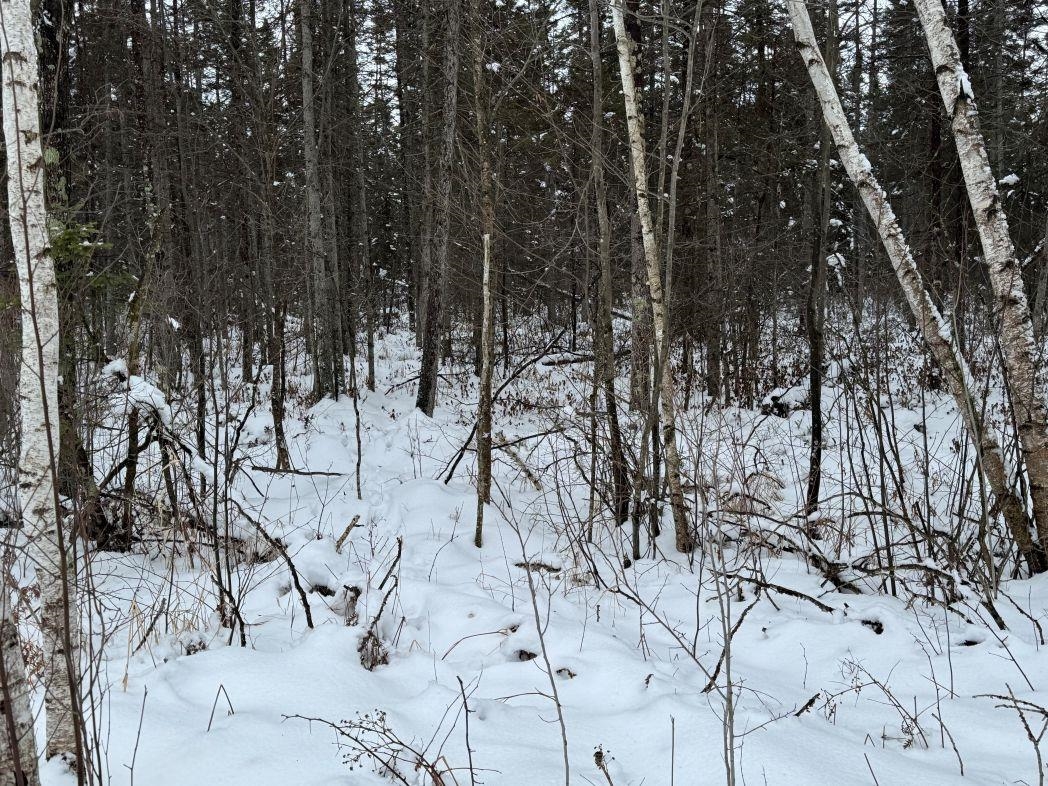 Eland Road, Unit 1 Wittenberg, WI 54499 - Photo 23 of 31