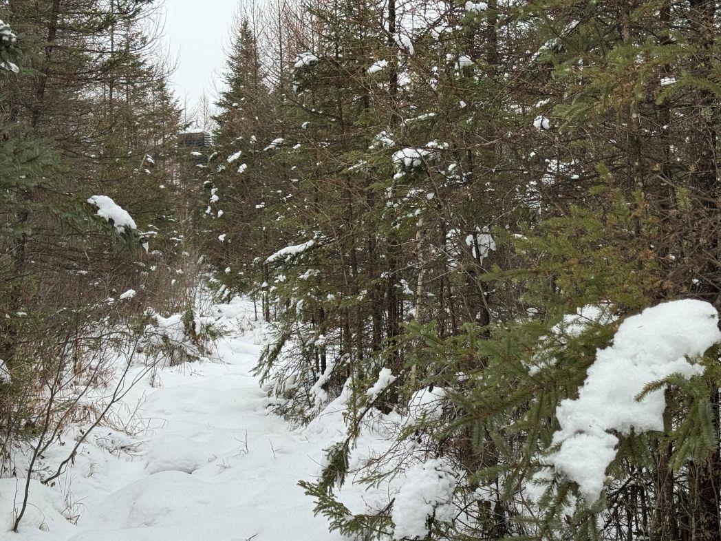 Eland Road, Unit 1 Wittenberg, WI 54499 - Photo 24 of 31