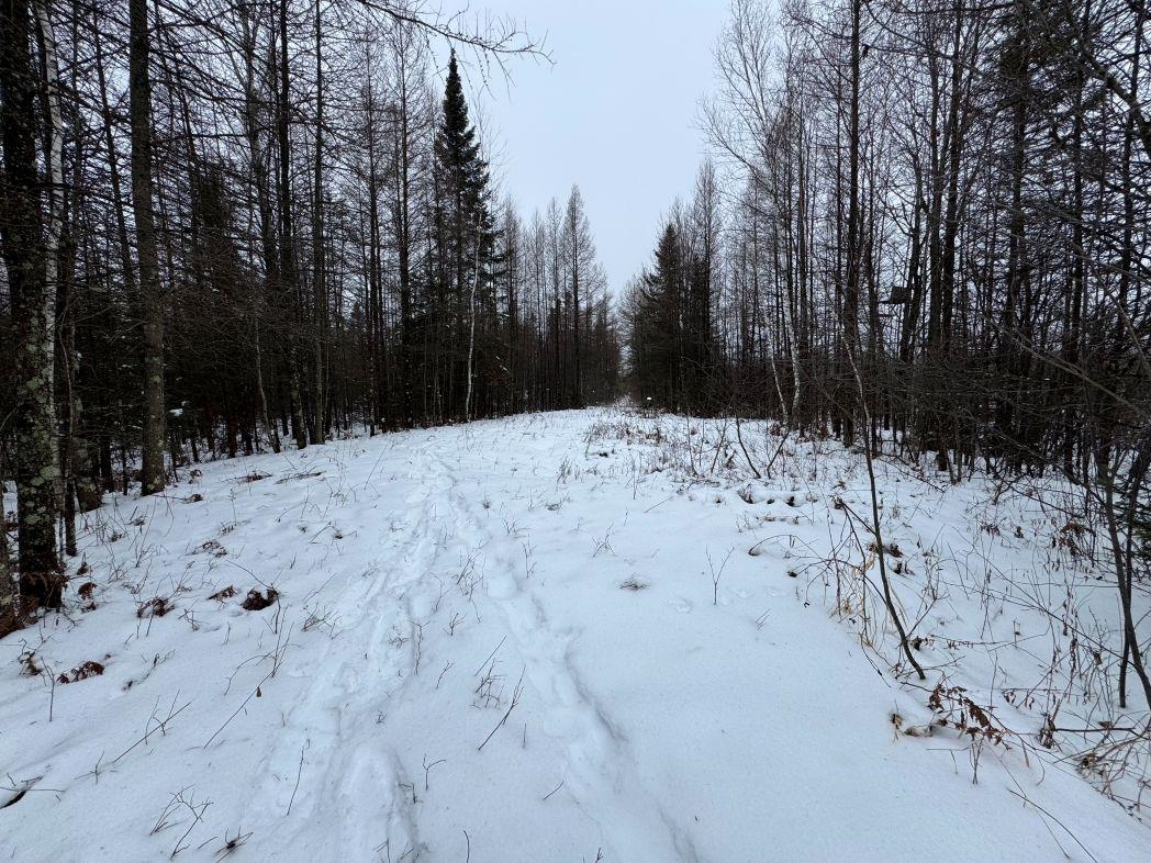 Eland Road, Unit 1 Wittenberg, WI 54499 - Photo 26 of 31