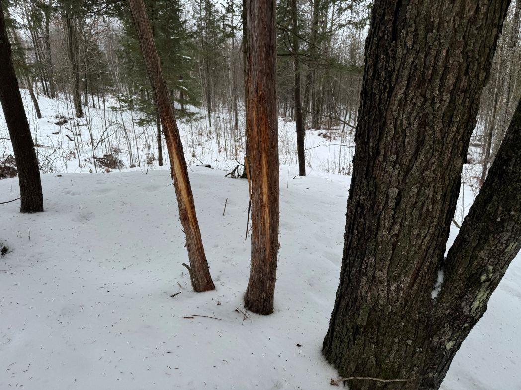 Eland Road, Unit 1 Wittenberg, WI 54499 - Photo 27 of 31