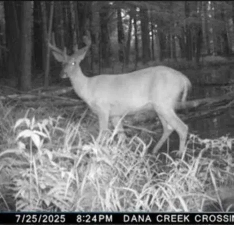 $140,000 | Eland Road, Unit 1, Wittenberg, WI 54499