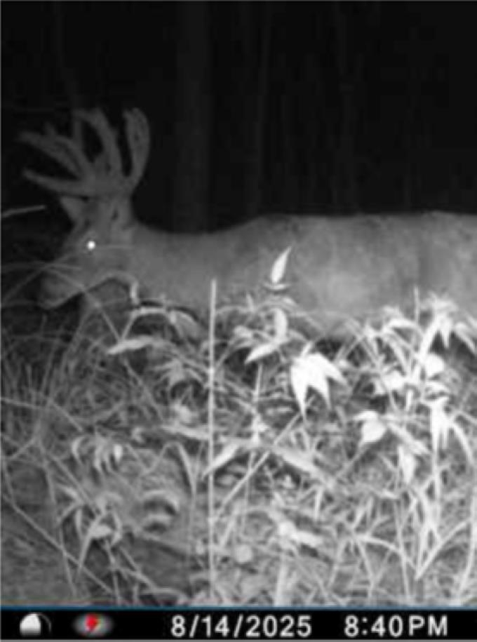 Eland Road, Unit 1 Wittenberg, WI 54499 - Photo 31 of 31