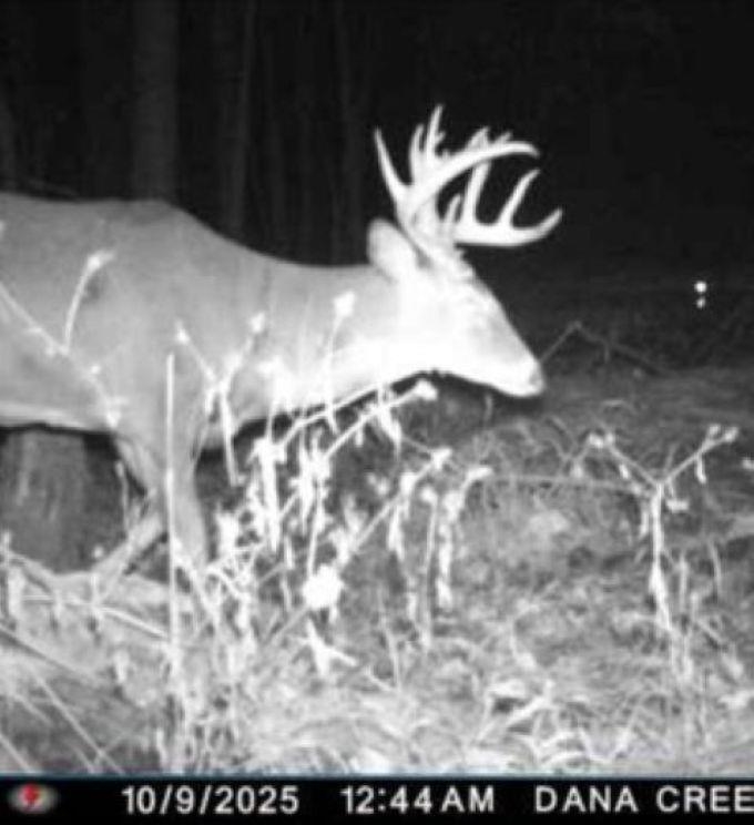 Eland Road, Unit 1 Wittenberg, WI 54499 - Photo 7 of 31