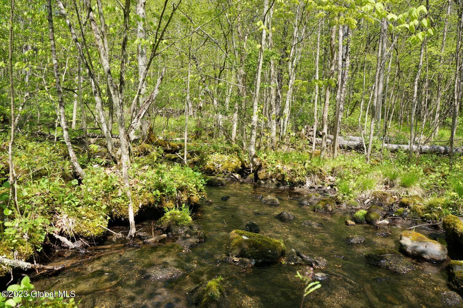 1032 Bogtown Road Hebron, NY 12865 - Photo 41 of 44 DSC06335