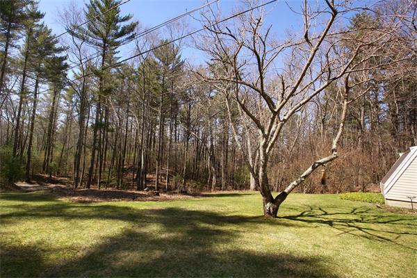 50 Depot Road Boxford, MA 01921 - Photo 21 of 23 a view of swimming pool with large trees and wooden fence
