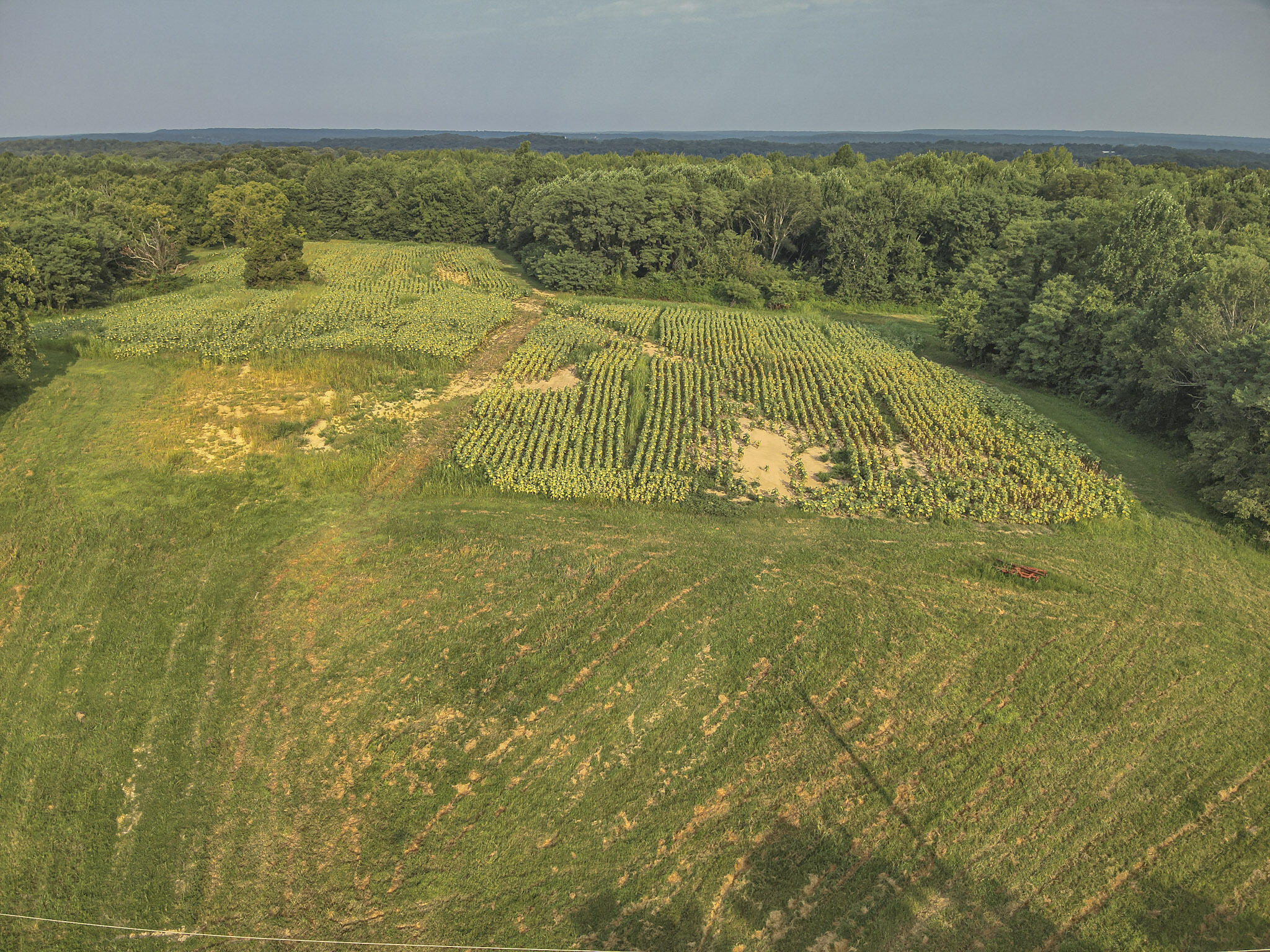 160+/- Acres