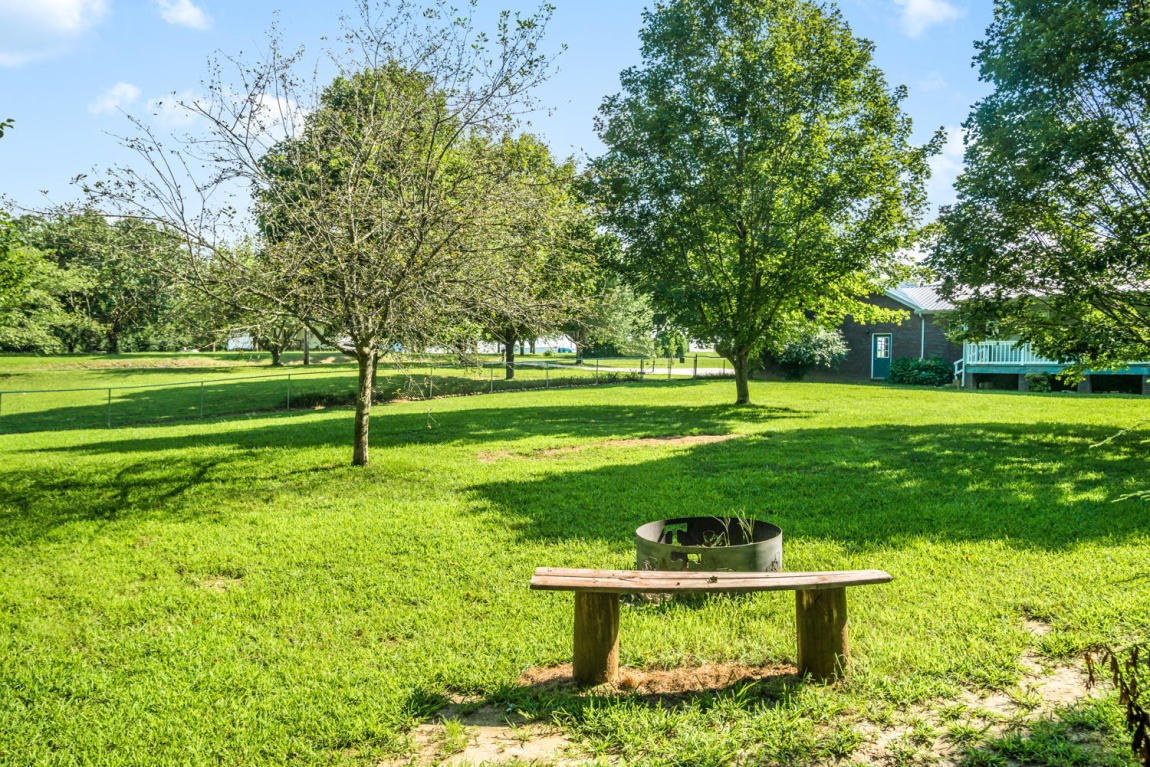 31 Lewis Cross Road Dunlap, TN 37327 - Photo 5 of 40 20170727010940624052000000-o