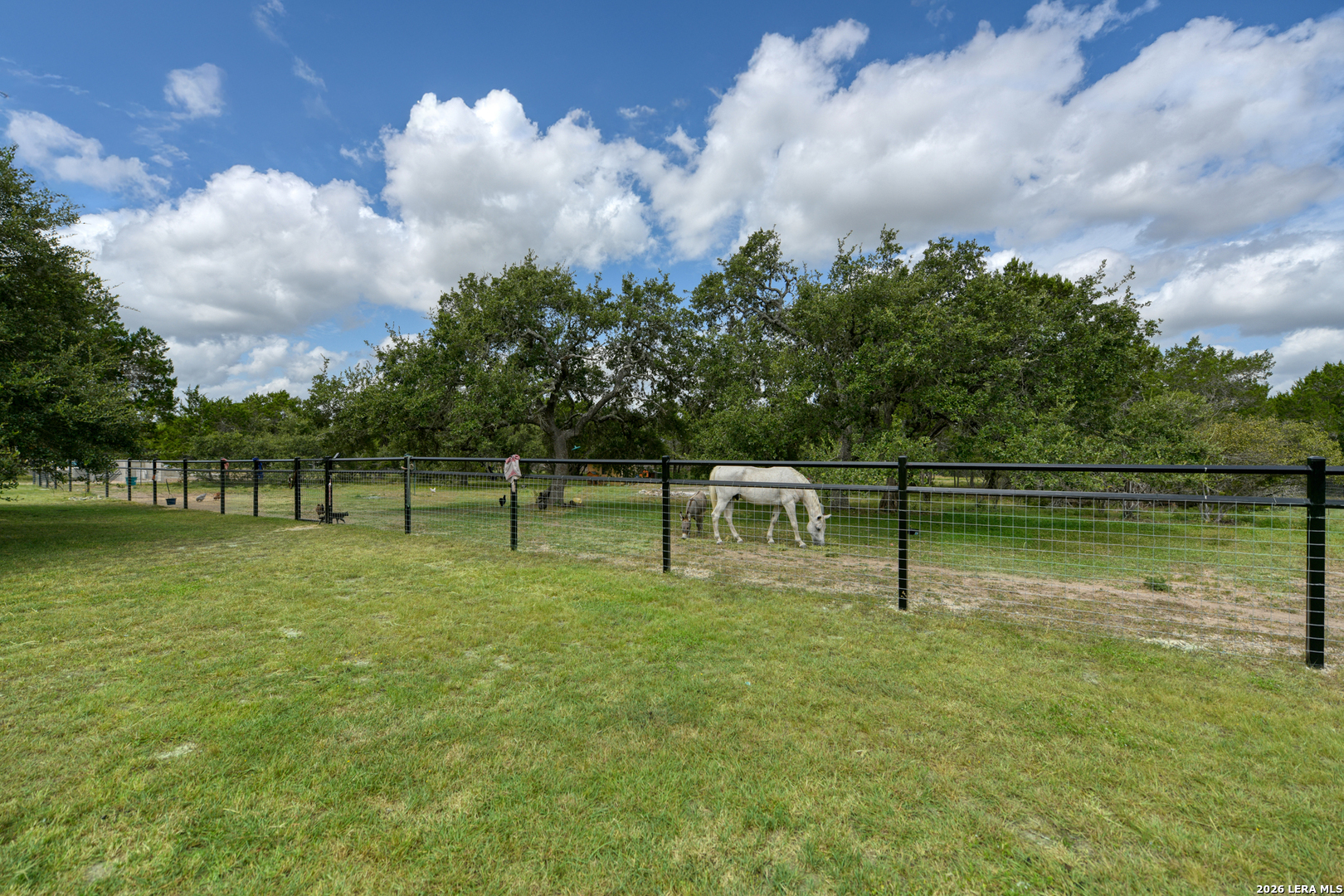 30885 Retama Ridge Bulverde, TX 78163 - Photo 29 of 33